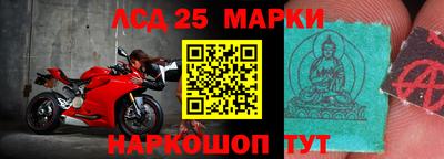 прущие грибы Будённовск