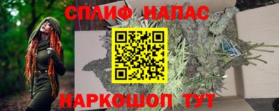 прущие грибы Будённовск