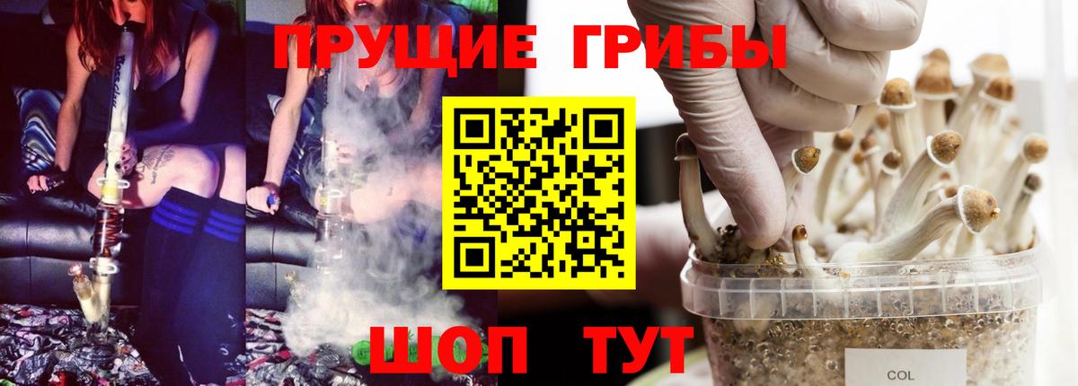 Новочеркасск  Галлюциногенные грибы мухоморы  Псилоцибиновые грибы Psilocybine cubensis  Вход с VPN 